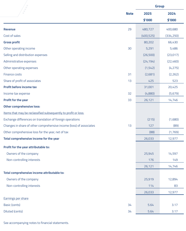 Profit and loss statement for FY2025